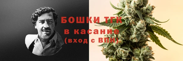 твердый Алексин