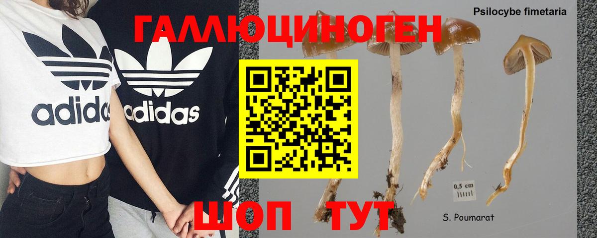 Псилоцибиновые грибы мухоморы Южно-Сахалинск